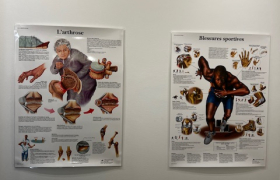  Posturologue D.I.U à Vincennes